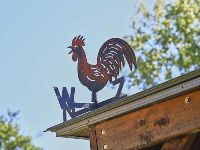 Ambiance / plan rapproché