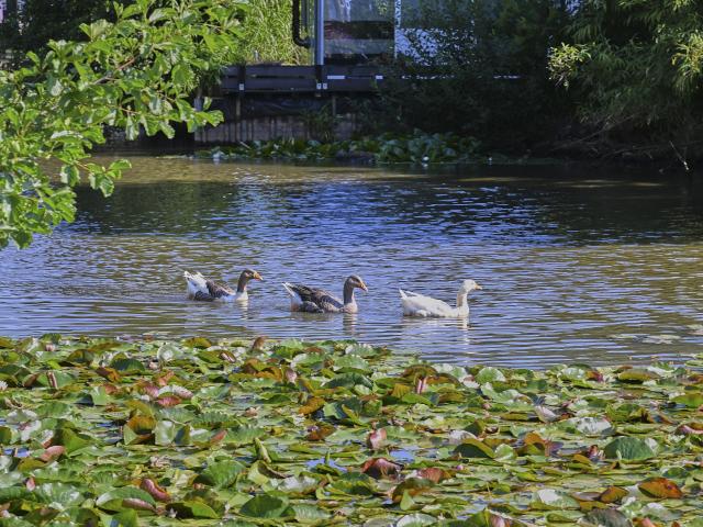 A proximité directe (<1 km)