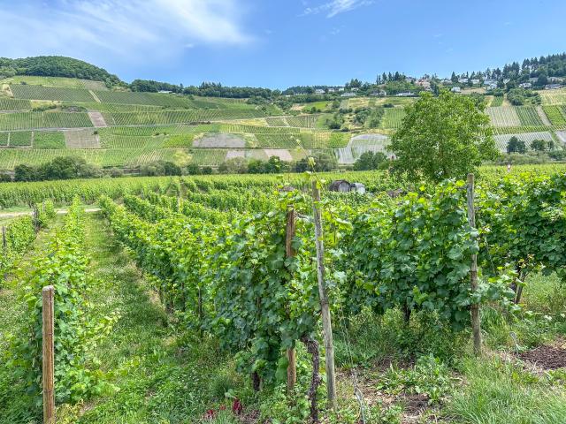 View from Holiday Home