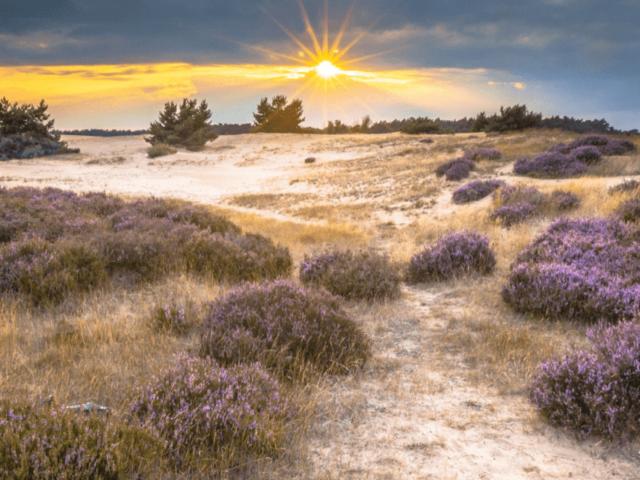 Direkte Umgebung (<1 km)