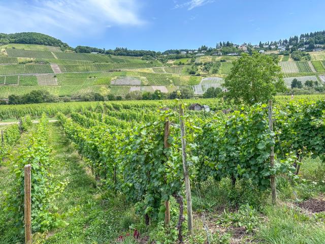 Aussicht vom Ferienhaus