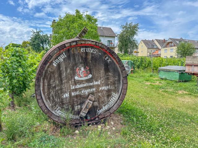 Ambiente / Nahaufnahme