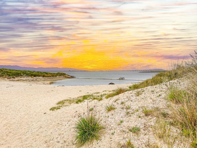 Immediate Surroundings (<1 km)