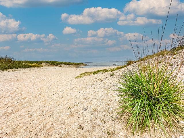 Immediate Surroundings (<1 km)