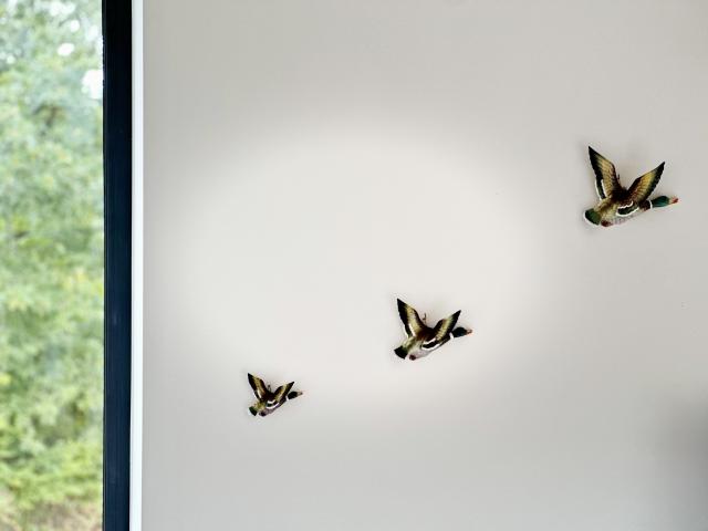 Ambiance / plan rapproché