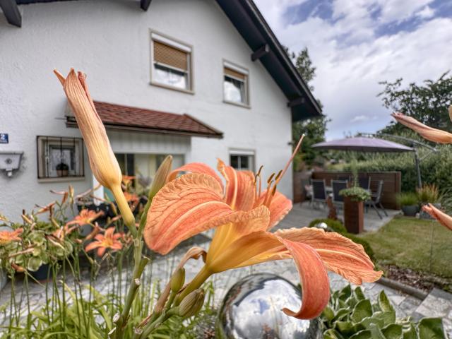 Ambiente / Nahaufnahme