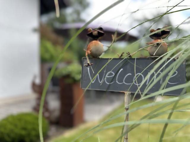 Ambiente / Nahaufnahme