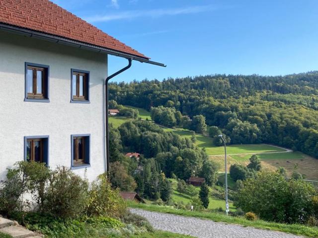 Aussicht vom Ferienhaus