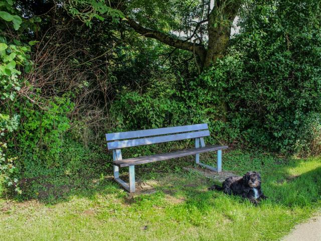 Direkte Umgebung (<1 km)