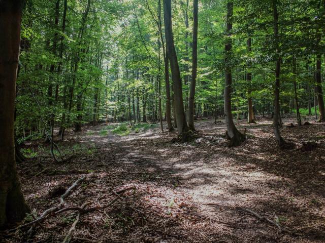 Direkte Umgebung (<1 km)