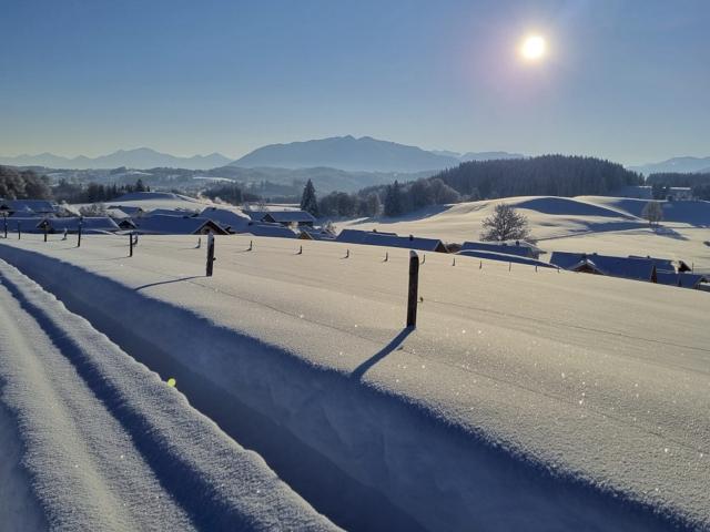 Directe omgeving (<1 km)