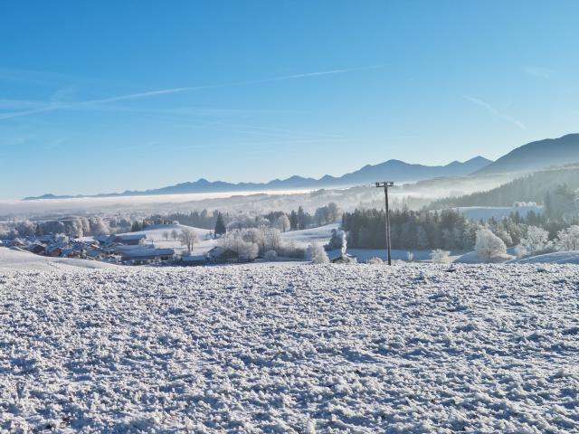 Immediate Surroundings (<1 km)