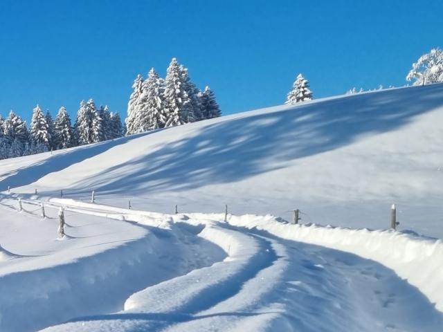 Immediate Surroundings (<1 km)