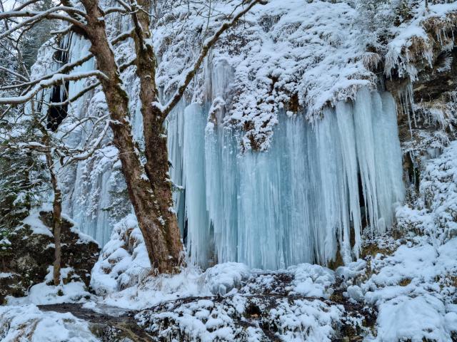 Surroundings (1-5 km)