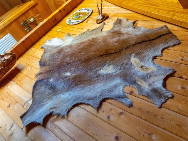 Ambiente / Nahaufnahme