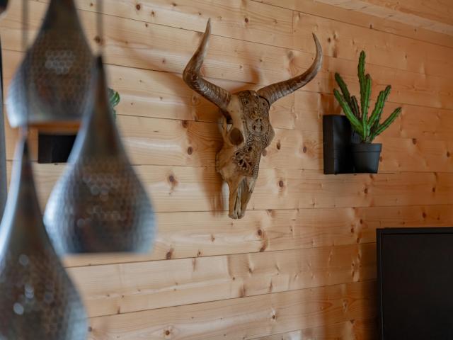 Ambiance / plan rapproché