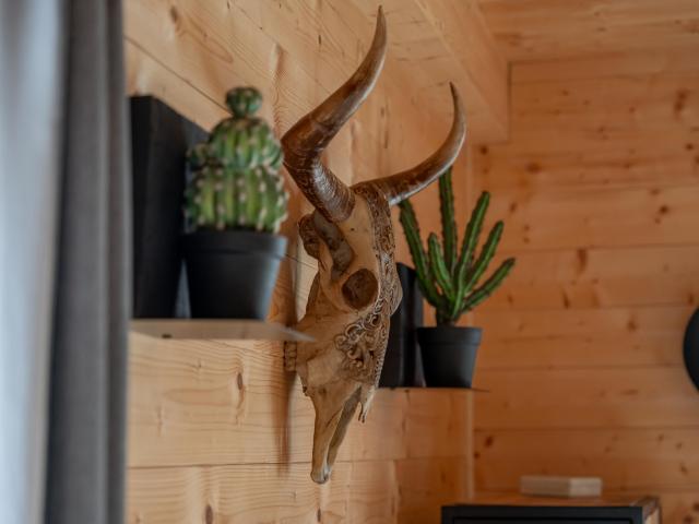 Ambiance / plan rapproché