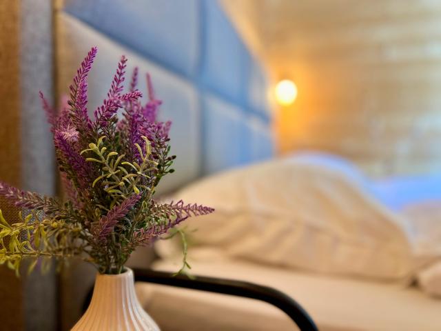 Ambiance / plan rapproché