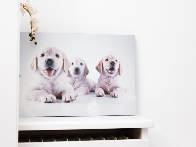 Ambiance / plan rapproché