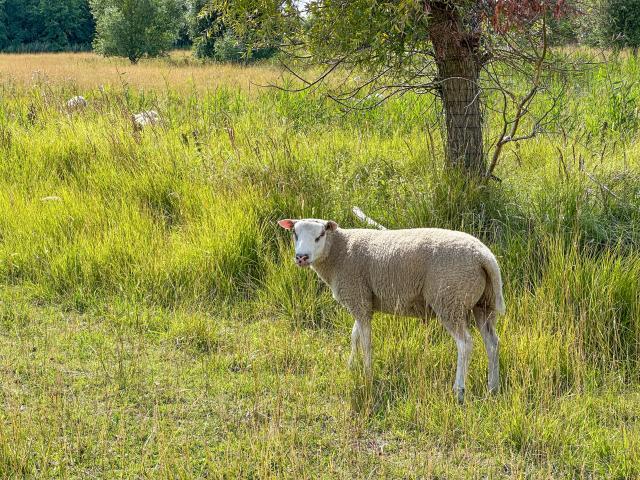 Immediate Surroundings (<1 km)