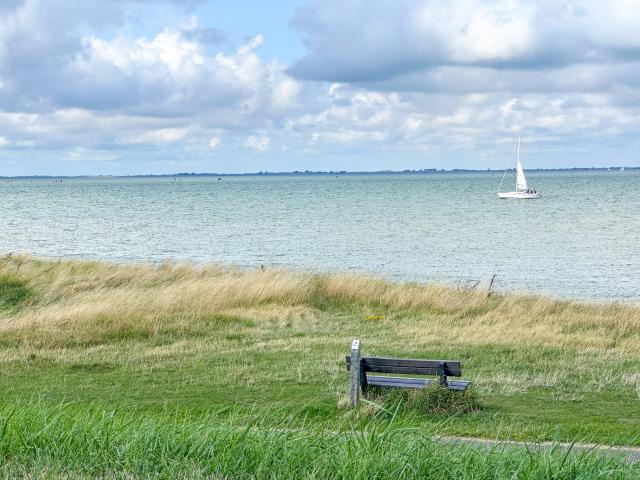 Immediate Surroundings (<1 km)