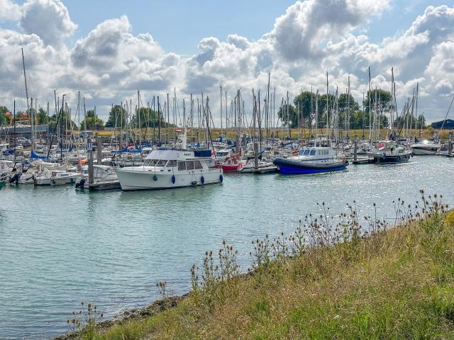 Immediate Surroundings (<1 km)