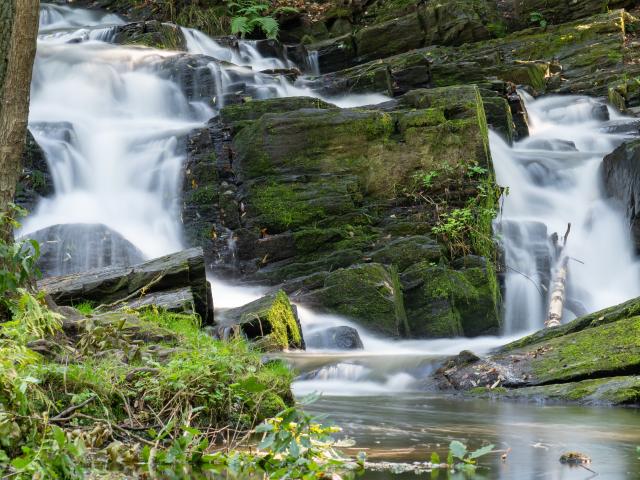 Dans la région (>5 km)
