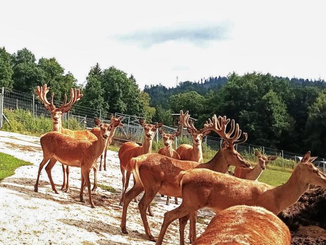 A proximité directe (<1 km)