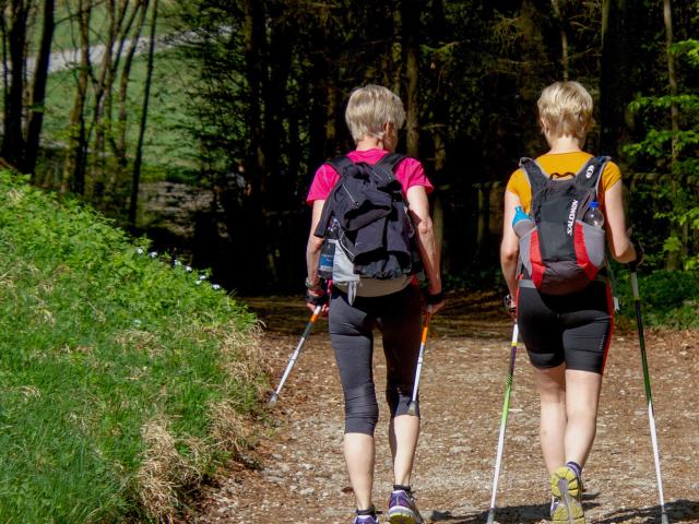 Surroundings (1-5 km)