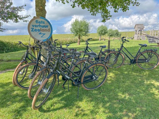 Ausstattung und Service des Ferienparks