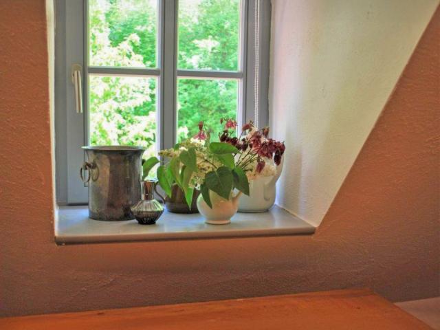 Ambiance / plan rapproché