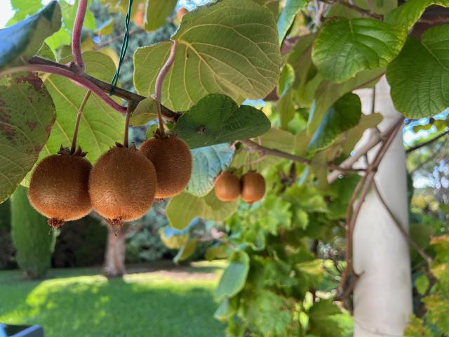 Ambiance / plan rapproché