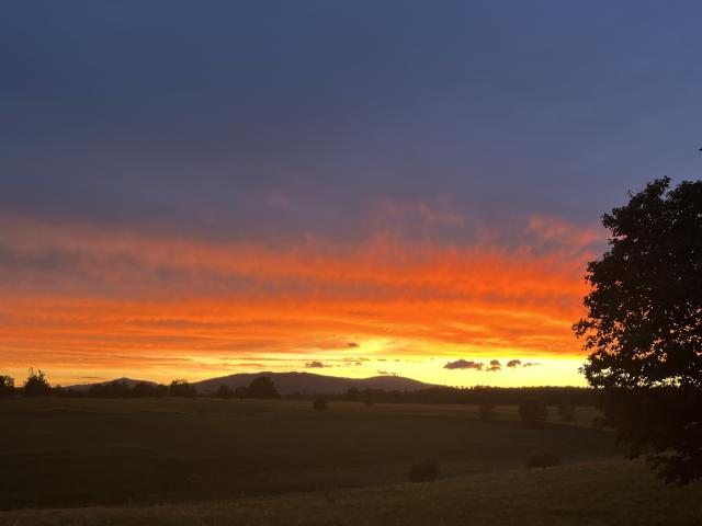 Direkte Umgebung (<1 km)