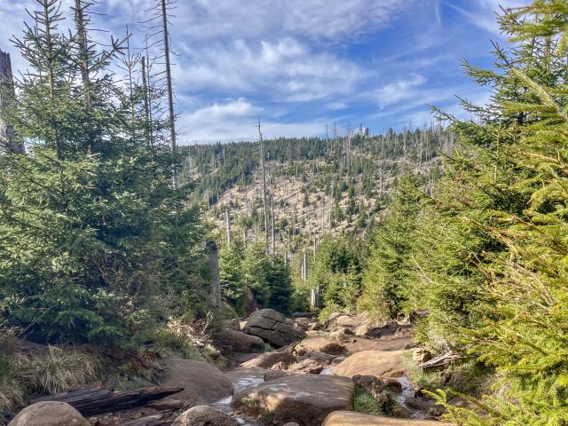 In der Region (>5 km)