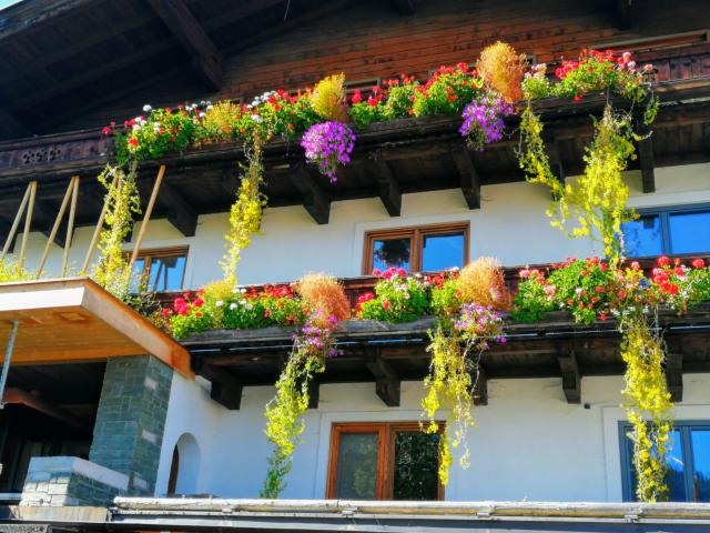 Exterieur vakantiehuis