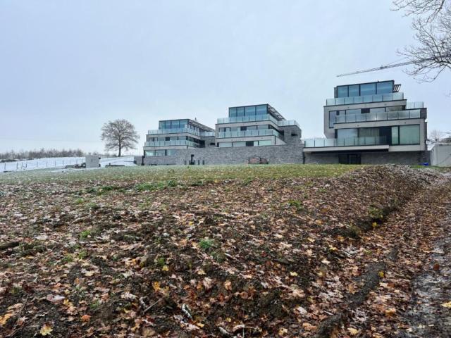 Exterieur vakantiehuis