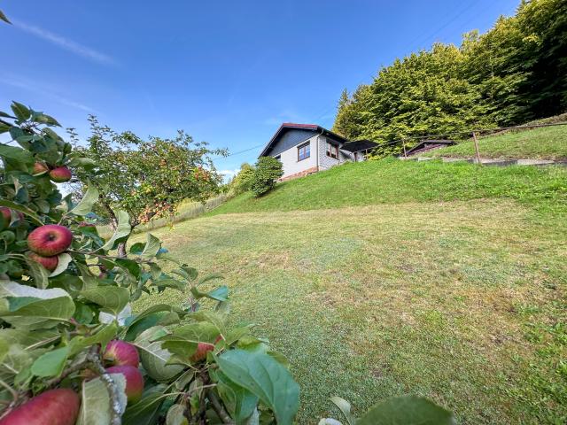 Exterieur vakantiehuis