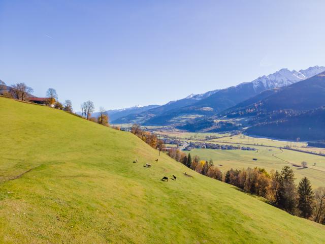 A proximité directe (<1 km)