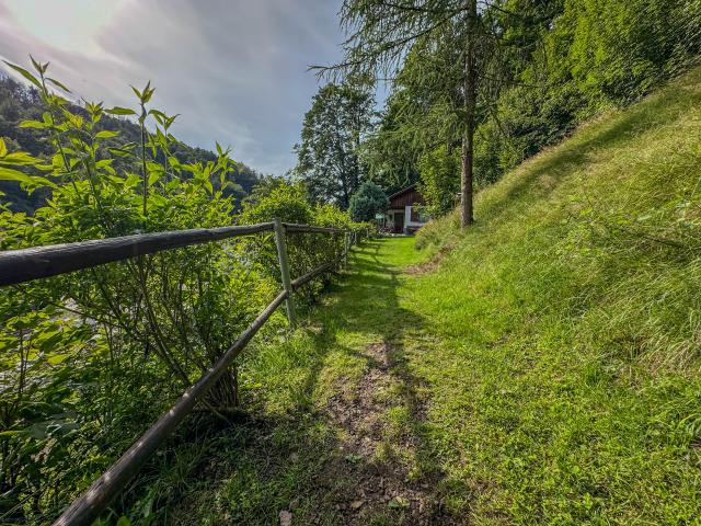 Immediate Surroundings (<1 km)