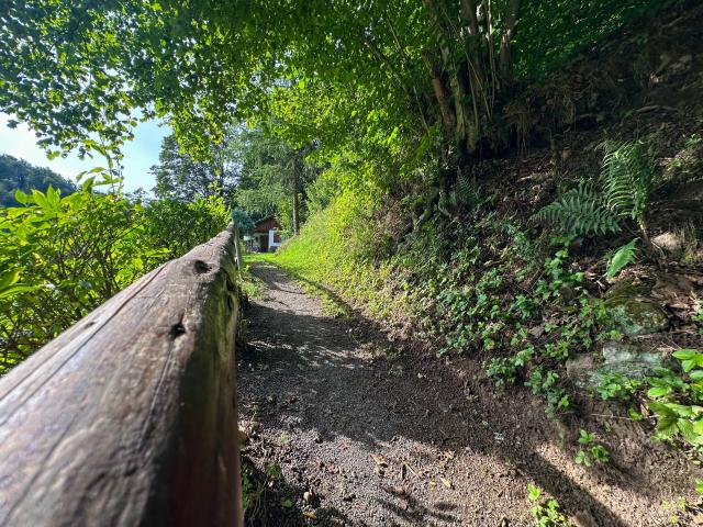 View from Holiday Home