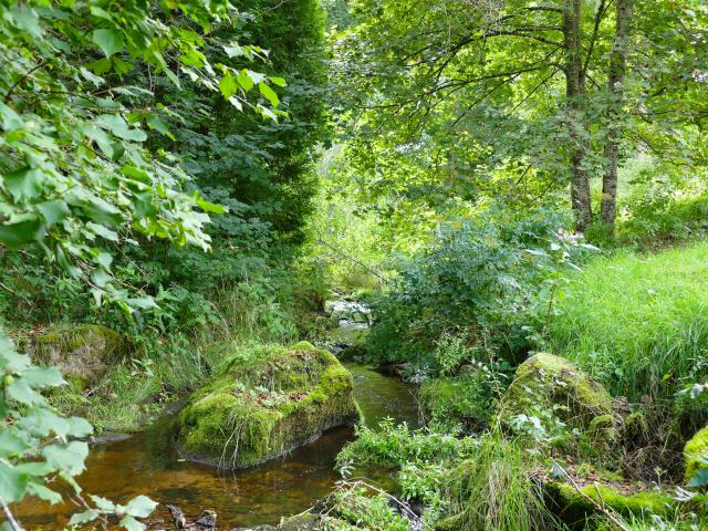 Aussicht vom Ferienhaus [Sommer]