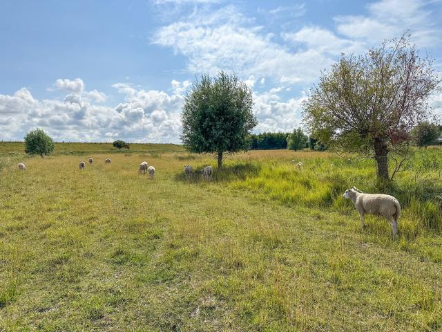 View from Holiday Home