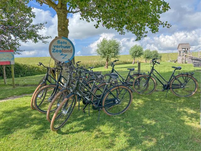 Holiday Park Facilities and Services