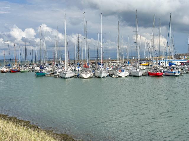 Immediate Surroundings (<1 km)