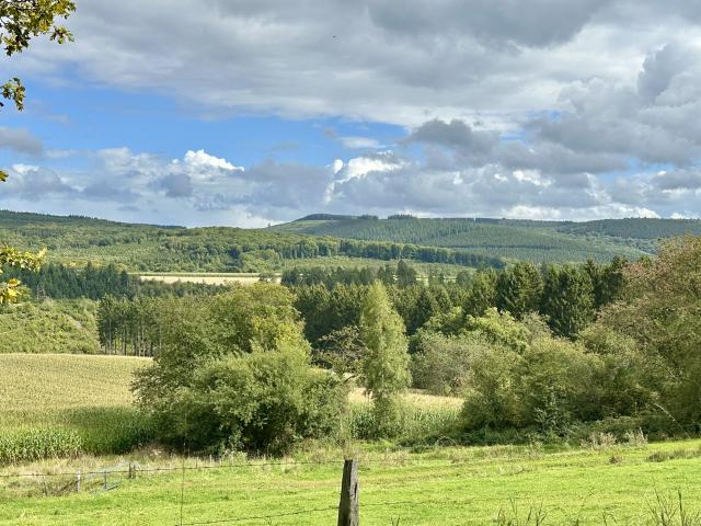 Immediate Surroundings (<1 km)