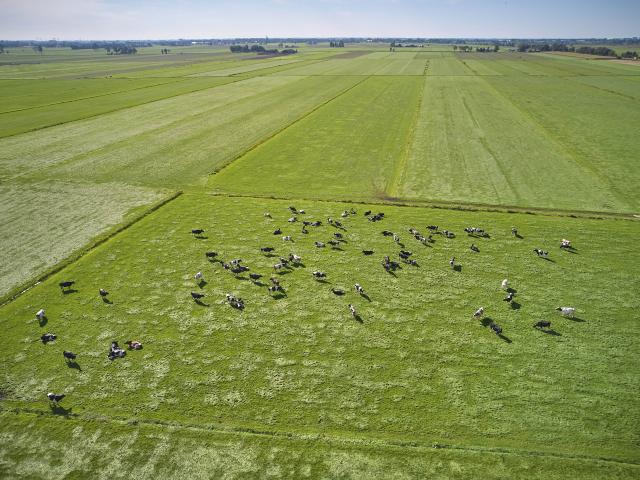 Directe omgeving [zomer] (<1 km)