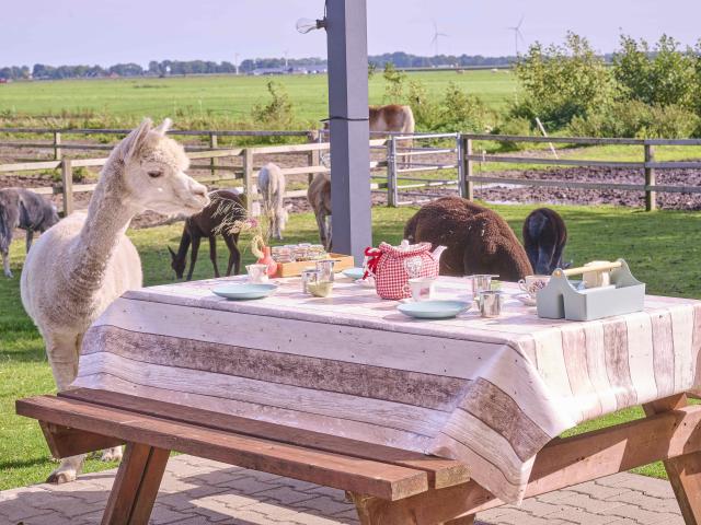 Directe omgeving [zomer] (<1 km)