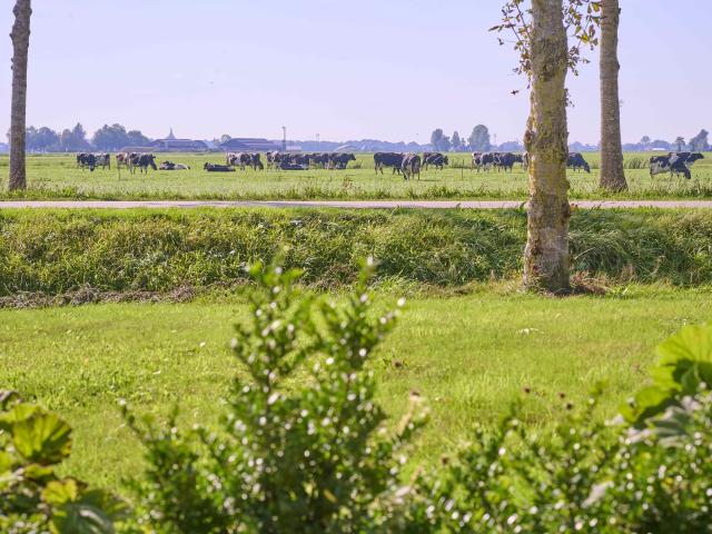 Uitzicht van vakantiehuis [zomer]
