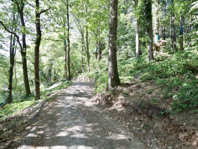Directe omgeving (<1 km)