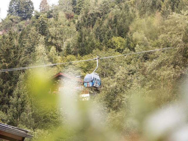 Immediate Surroundings (<1 km)